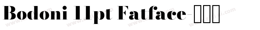 Bodoni 11pt Fatface字体转换